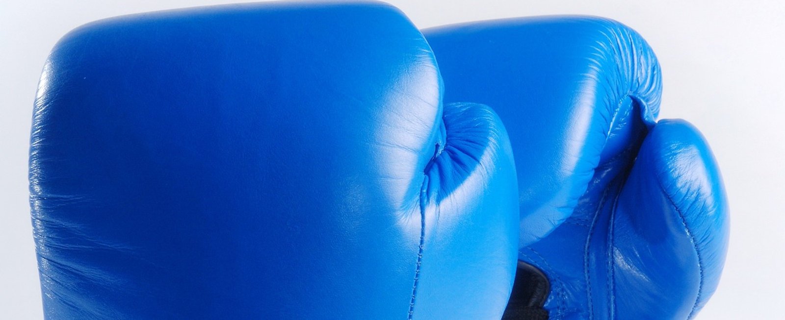 blue-boxing-gloves-1434861_1920.jpg