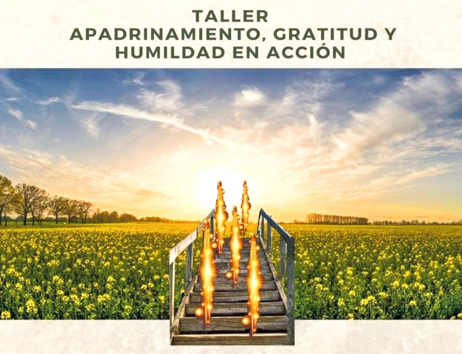 taller APADRINAMIENTO poster_edited.jpg